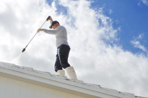 roof cleaning janesville