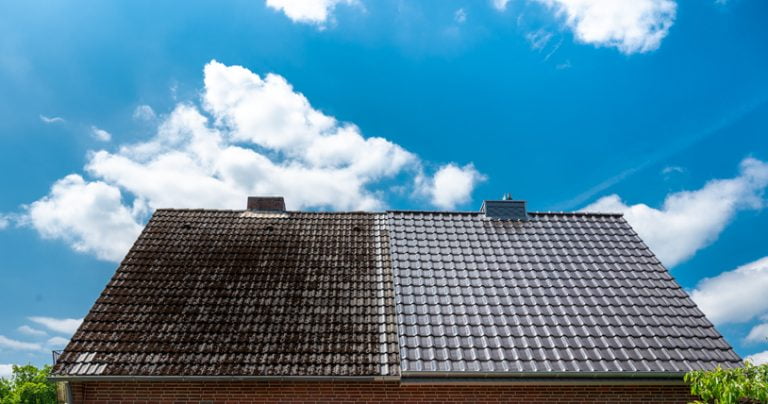 roof cleaning janesville