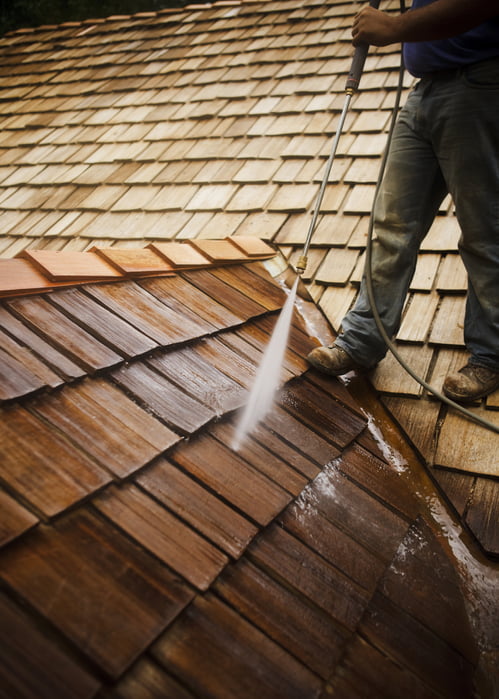 roof cleaning janesville