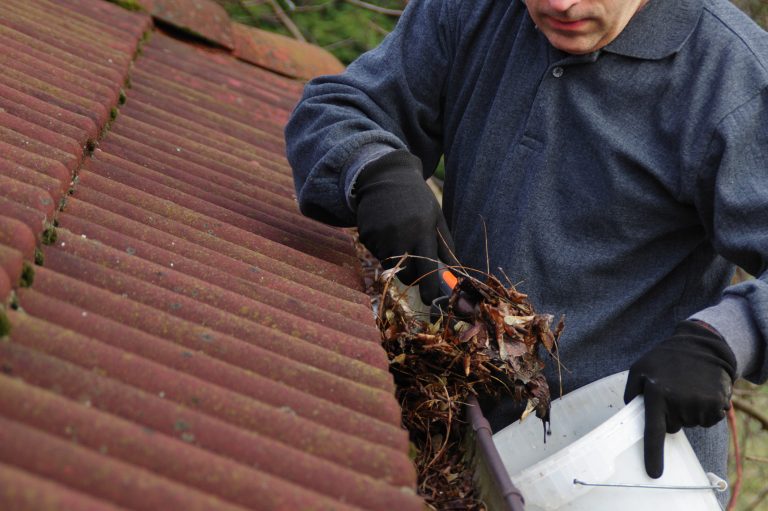 roof and gutter cleaning janesville