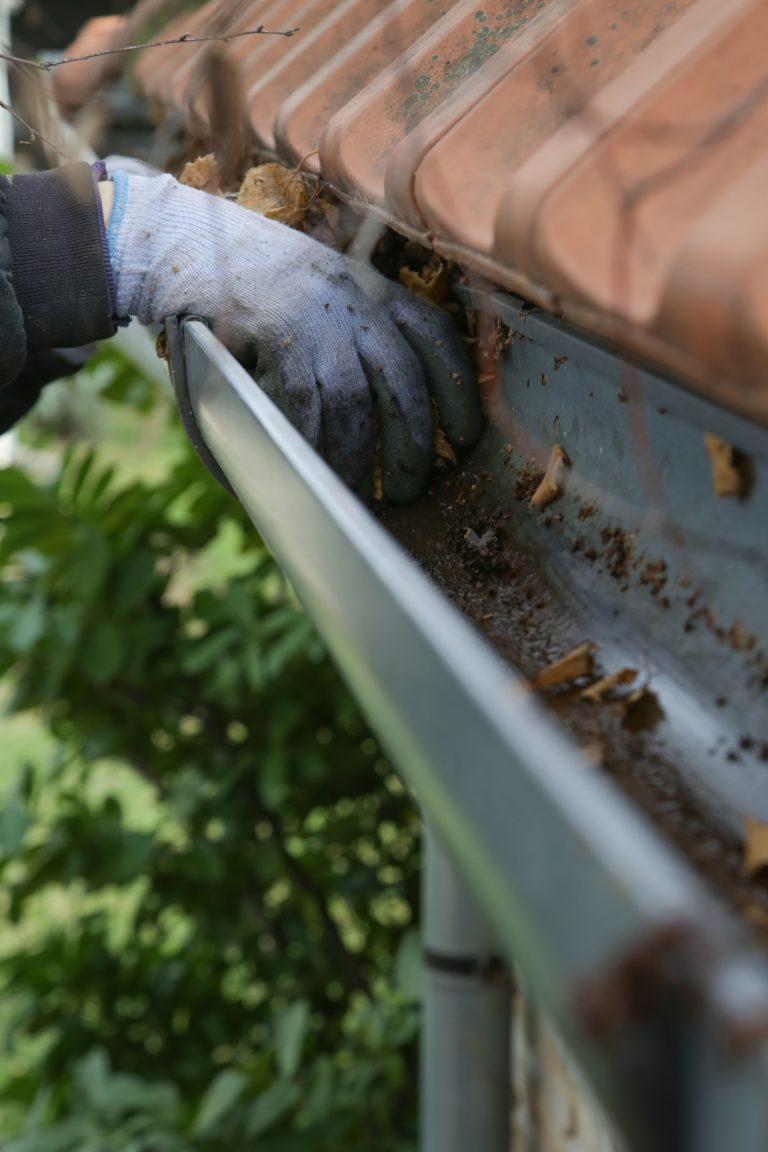 roof and gutter cleaning janesville